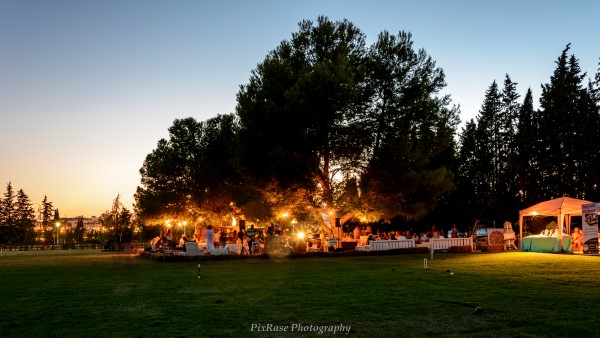 Marbella Polo